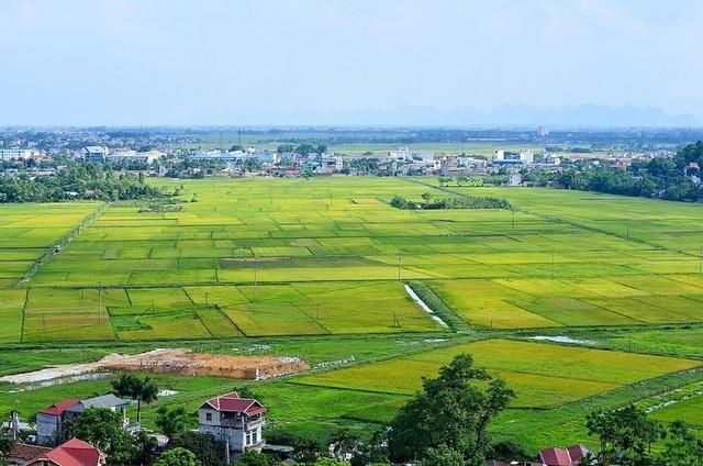 VIR newspaper interview Ecobuy: Vietnamese agriculture strengthened